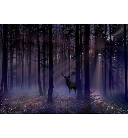 Foto tapete - Mystical Forest - Second Variant