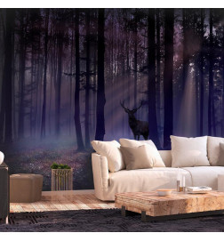 Wall Mural - Mystical Forest - Second Variant