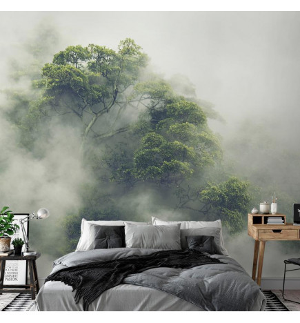 Foto tapete - Foggy Amazon
