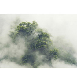 Foto tapete - Foggy Amazon