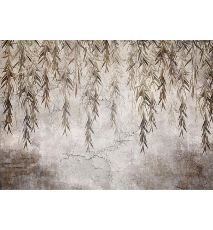 34,00 € Wall Mural - Rushes Story