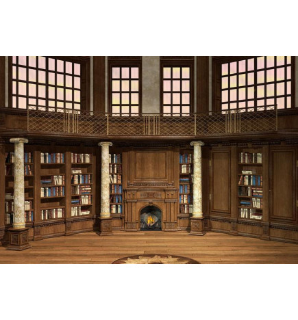 Fotomural - Library of Dreams