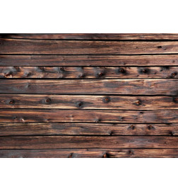 34,00 € Wall Mural - Wooden Warmth