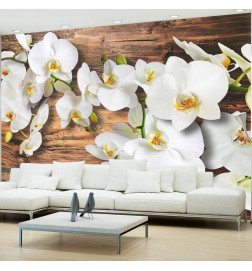 34,00 € Fotobehang - Forest Orchid - Natural White Flowers on a Background of Old Dark Wood