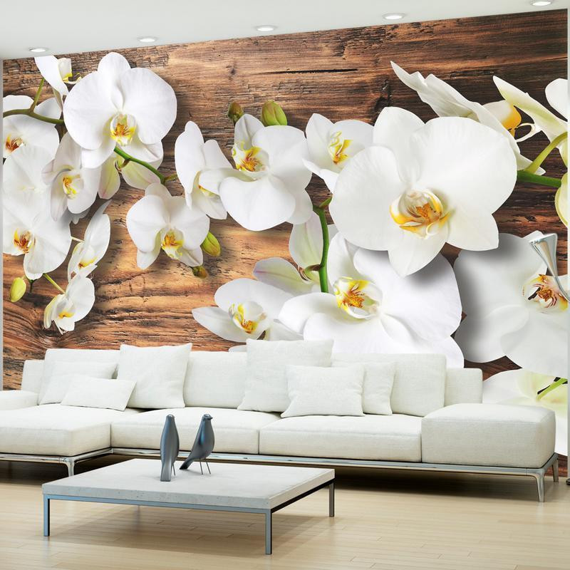 34,00 € Fototapet - Forest Orchid - Natural White Flowers on a Background of Old Dark Wood