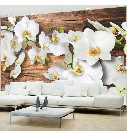 Mural de parede - Forest Orchid - Natural White Flowers on a Background of Old Dark Wood