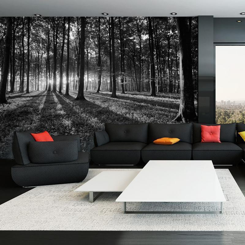 34,00 € Wall Mural - The Light in the Forest