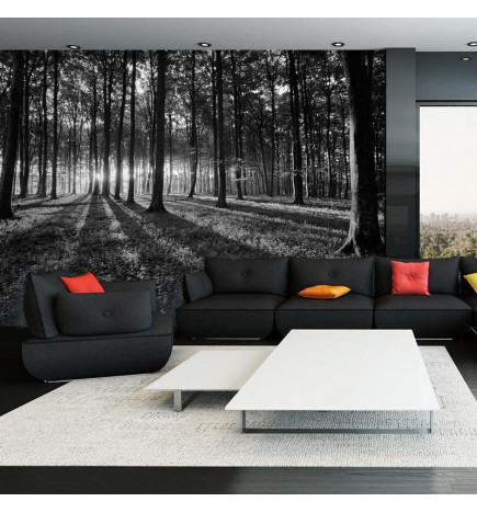 Wall Mural - The Light in the Forest