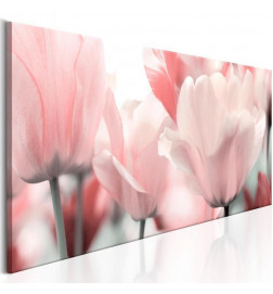 Slika - Pink Tulips