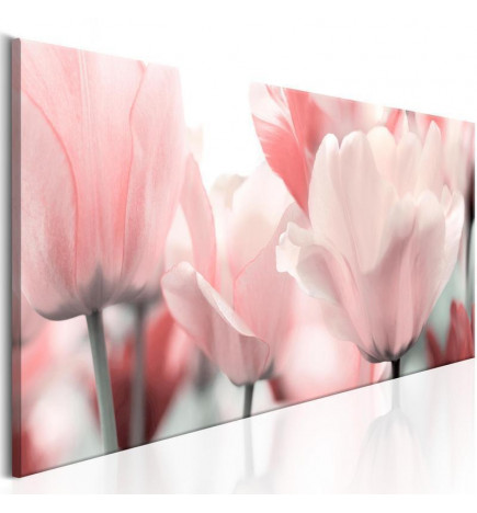Leinwandbild - Pink Tulips