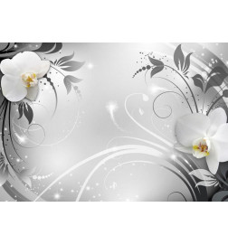 Fototapet - Orchids on silver