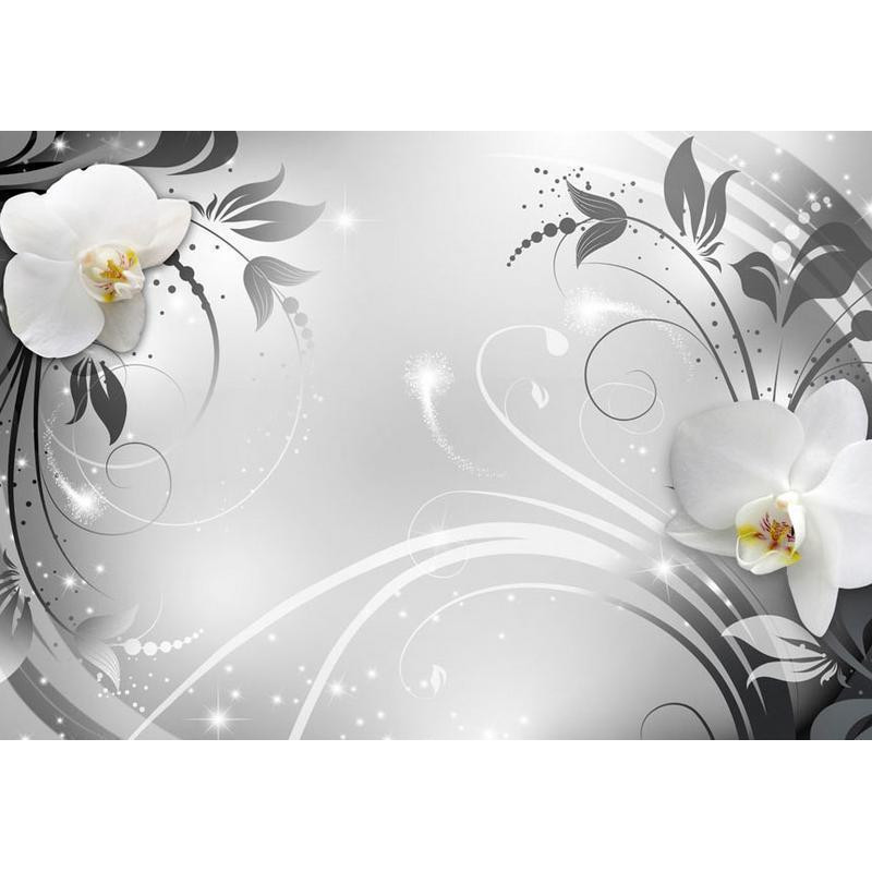 34,00 € Fotobehang - Orchids on silver