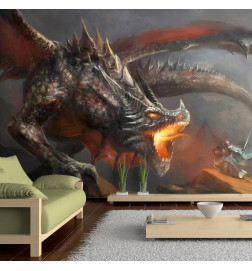 Wall Mural - Dragon fire
