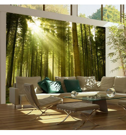 Wall Mural - Pine forest