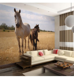 Wall Mural - Horse and foal