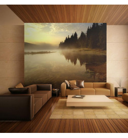 Mural de parede - Forest and lake
