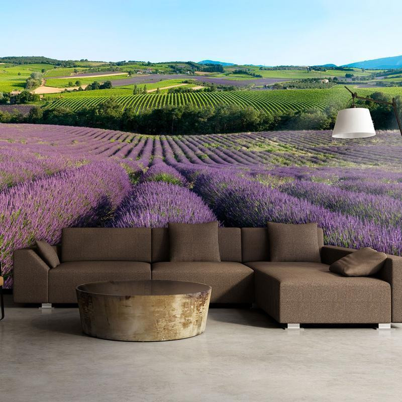 73,00 € Fotobehang - Lavender fields