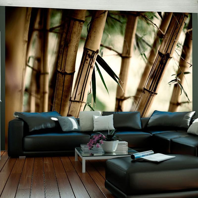73,00 €Mural de parede - Fog and bamboo forest