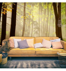 Wall Mural - Mysterious forest path