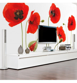 Wall Mural - Red poppies summertime reminiscence