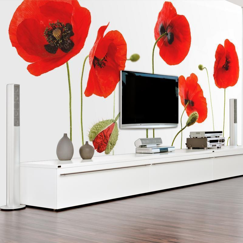 73,00 € Foto tapete - Red poppies, summertime reminiscence