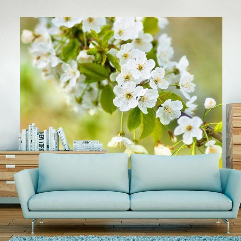 73,00 € Fotomural - Beautiful delicate cherry blossoms