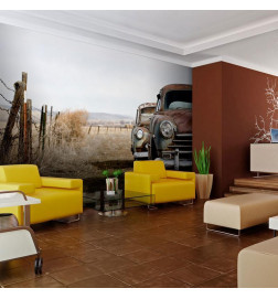 Wall Mural - Two old American cars