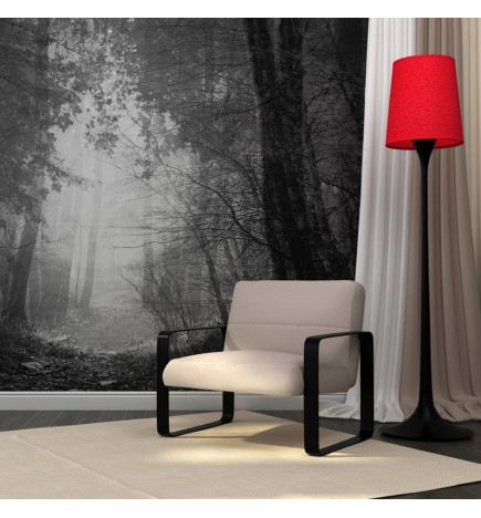 73,00 € Fotobehang - Forest of shadows