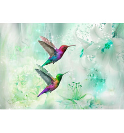 Fototapete - Colourful Hummingbirds (Green)