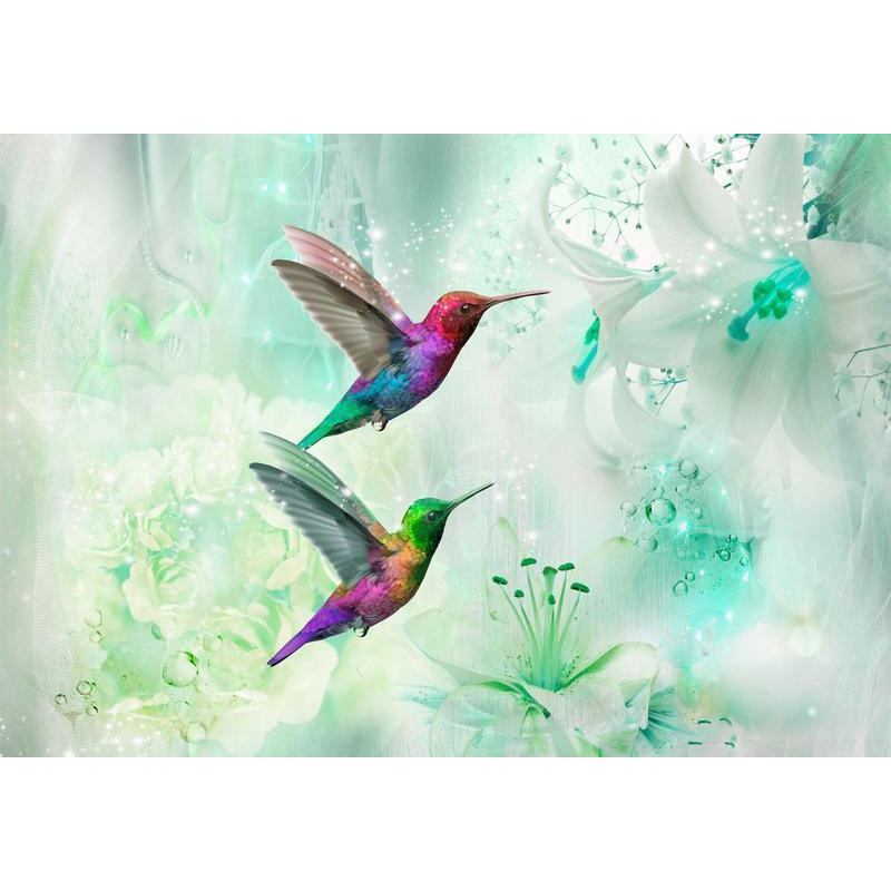 34,00 € Fototapetti - Colourful Hummingbirds (Green)