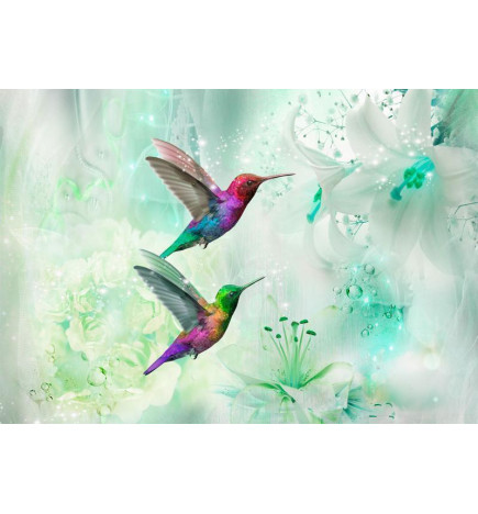 Fototapet - Colourful Hummingbirds (Green)