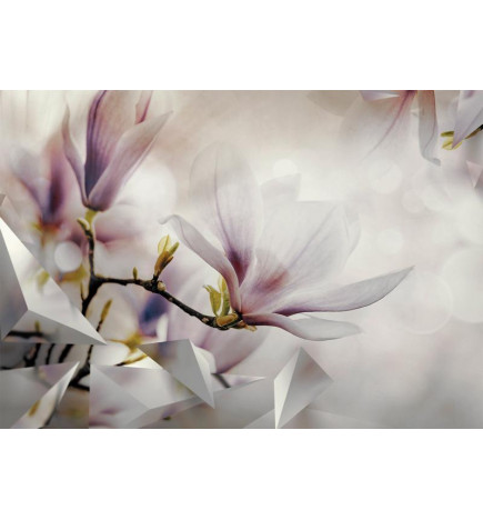 Fototapet - Subtle Magnolias - First Variant