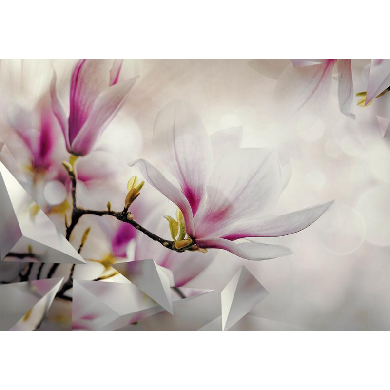34,00 € Fototapete - Subtle Magnolias - Third Variant