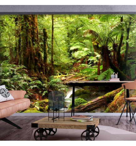 34,00 € Wall Mural - Forest Brook
