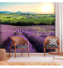Fotobehang - Lavender Field