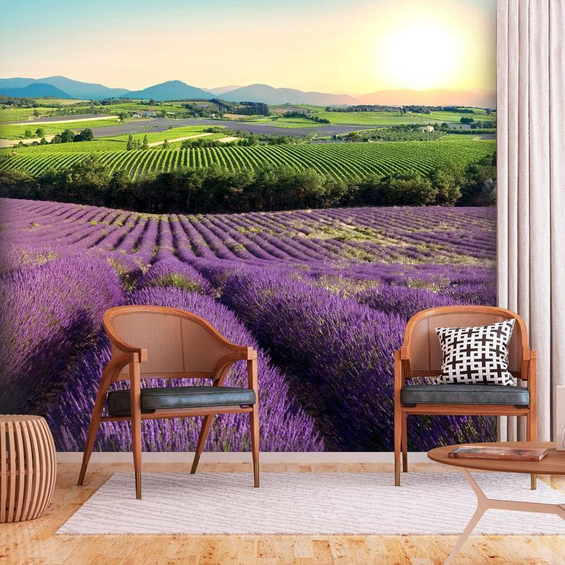 34,00 € Fotobehang - Lavender Field