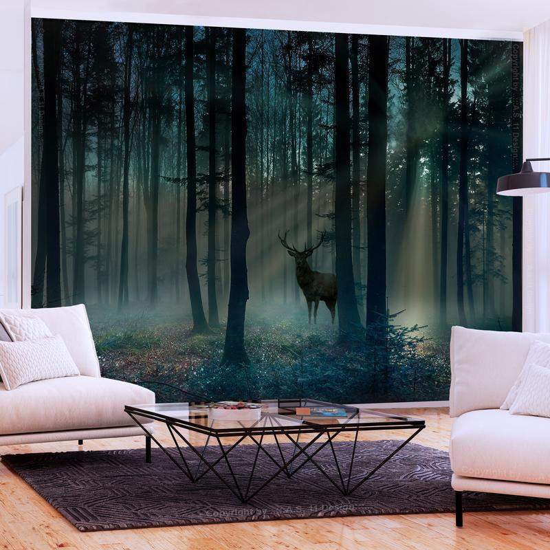 34,00 € Foto tapete - Mystical Forest - Third Variant