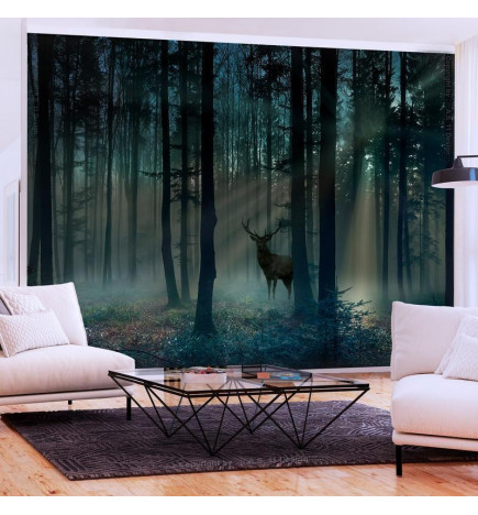 34,00 € Wall Mural - Mystical Forest - Third Variant