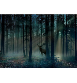 Wall Mural - Mystical Forest - Third Variant