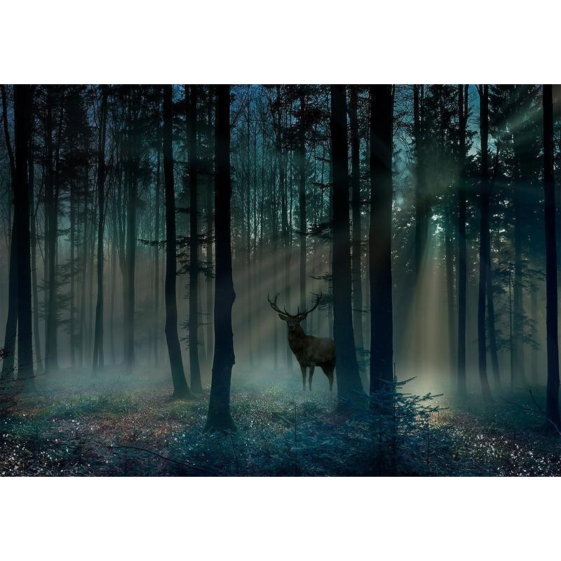 34,00 € Fototapeet - Mystical Forest - Third Variant