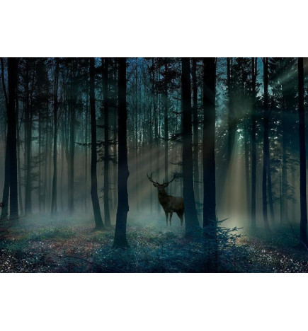 Fotobehang - Mystical Forest - Third Variant