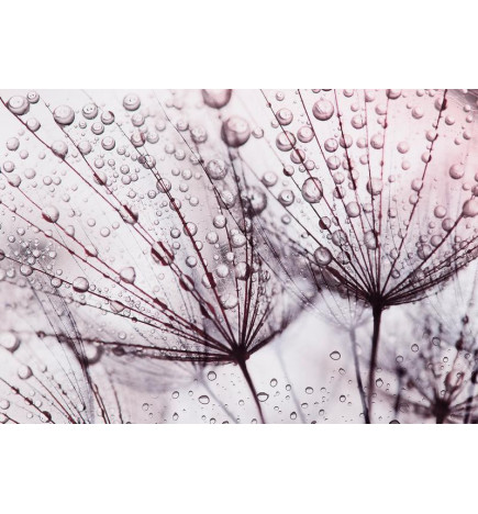 Fotobehang - Rainy Time