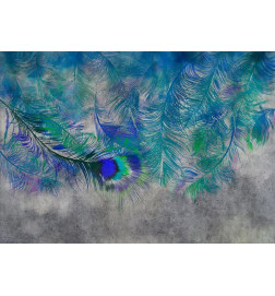 Fototapete - Peacock Feathers