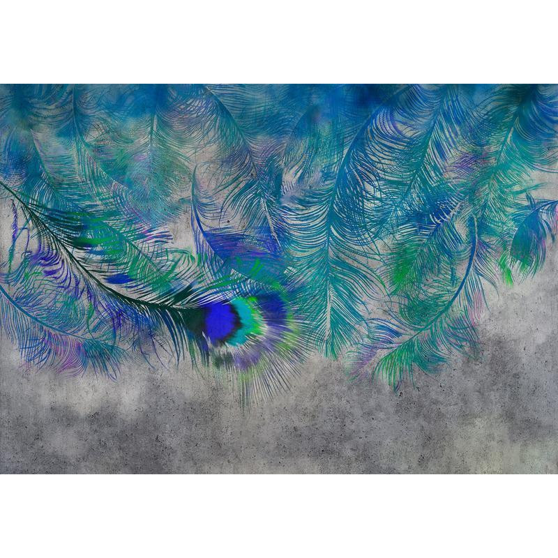 34,00 € Wall Mural - Peacock Feathers