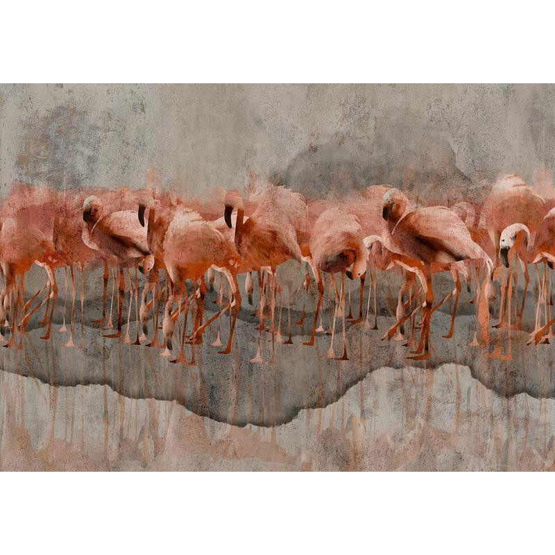 34,00 € Fotobehang - Exotic birds - pink flamingos with shadow on grey concrete background