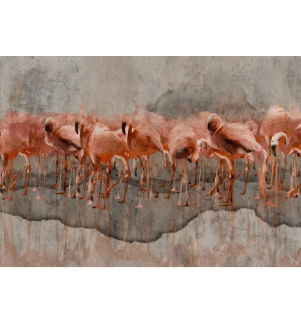 Fototapete - Exotic birds - pink flamingos with shadow on grey concrete background