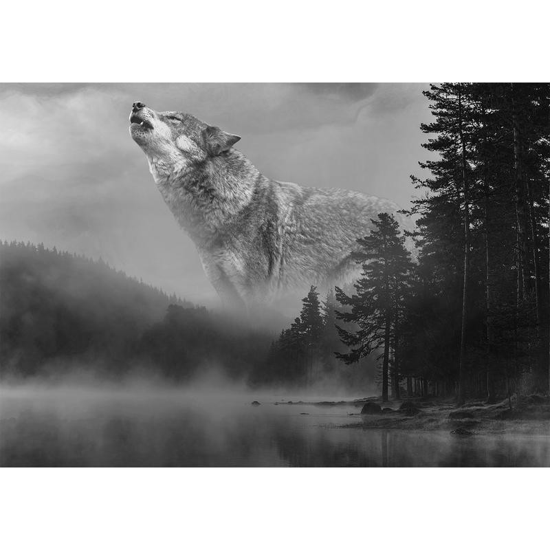 34,00 €Fotomurale con un lupo della foresta