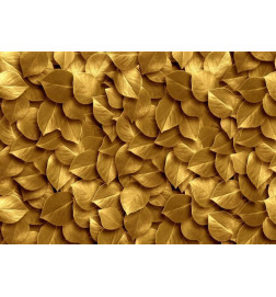 34,00 € Fotobehang - Golden Leaves