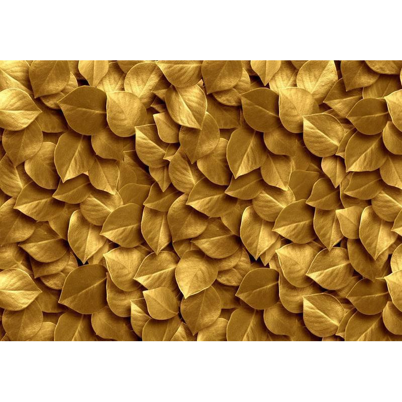 34,00 € Fotomural - Golden Leaves