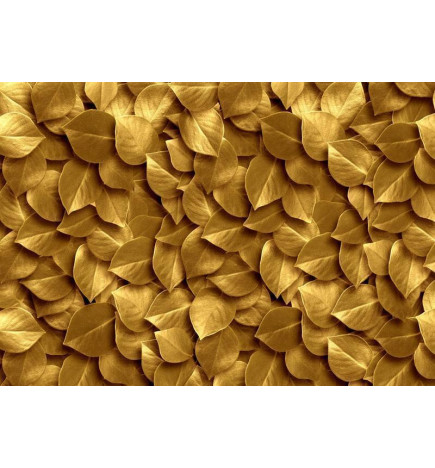 Fototapetas - Golden Leaves